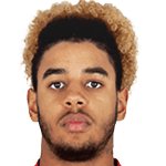 Willem Geubbels