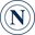 NAP logo