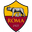 ROM logo