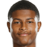 Rhian Brewster