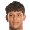 Gustavo Hamer