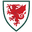 Wales U21 logo