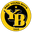 Young Boys logo