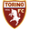 Torino U14 logo