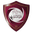 Al Draih logo