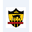 Real Colorado Foxes logo