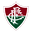 Fluminense U17 logo